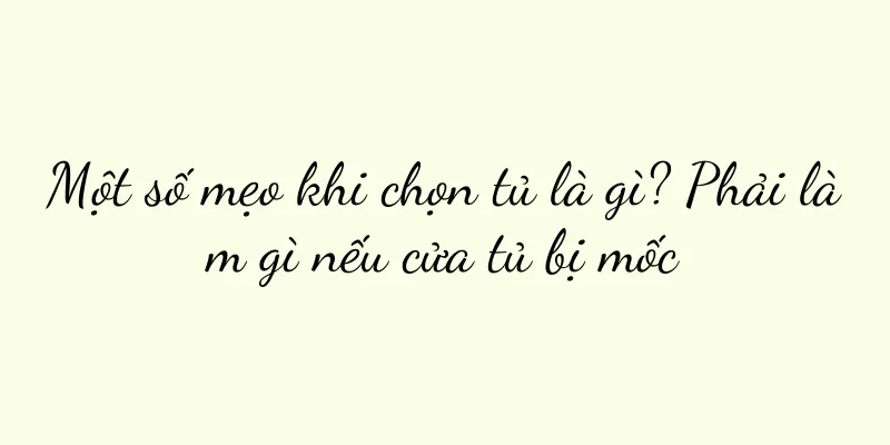 Một số mẹo khi chọn tủ là gì? Phải làm gì nếu cửa tủ bị mốc
