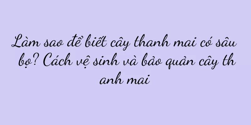 Làm sao để biết cây thanh mai có sâu bọ? Cách vệ sinh và bảo quản cây thanh mai