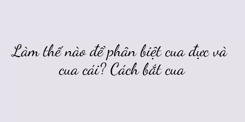 Làm thế nào để phân biệt cua đực và cua cái? Cách bắt cua