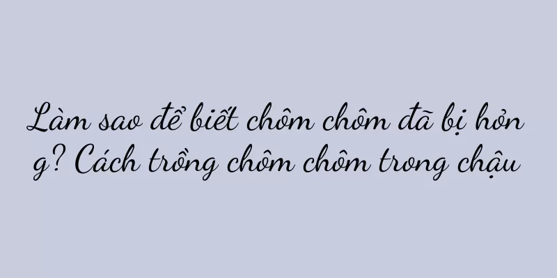 Làm sao để biết chôm chôm đã bị hỏng? Cách trồng chôm chôm trong chậu