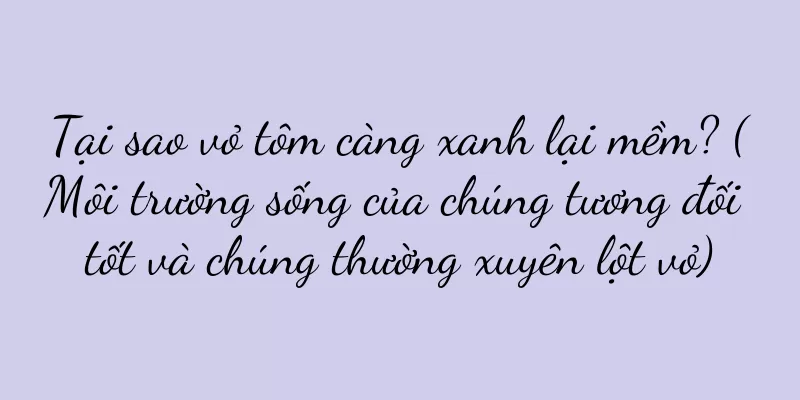 Tại sao vỏ tôm càng xanh lại mềm? (Môi trường sống của chúng tương đối tốt và chúng thường xuyên lột vỏ)