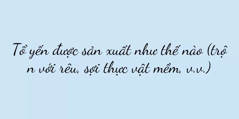 Tổ yến được sản xuất như thế nào (trộn với rêu, sợi thực vật mềm, v.v.)
