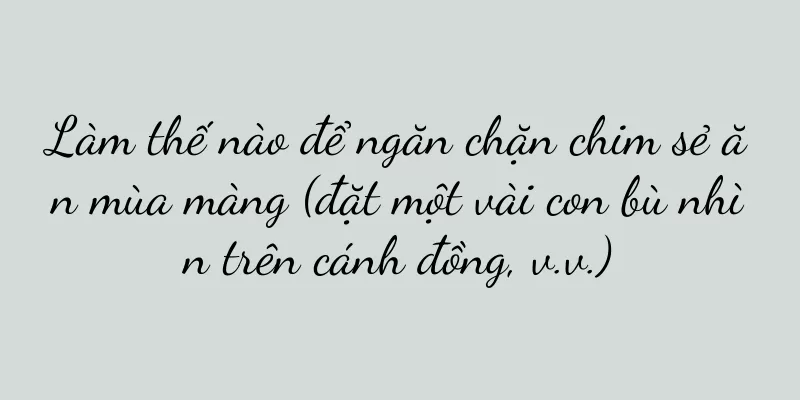 Làm thế nào để ngăn chặn chim sẻ ăn mùa màng (đặt một vài con bù nhìn trên cánh đồng, v.v.)