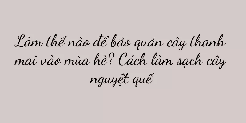 Làm thế nào để bảo quản cây thanh mai vào mùa hè? Cách làm sạch cây nguyệt quế