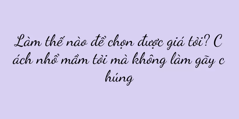 Làm thế nào để chọn được giá tỏi? Cách nhổ mầm tỏi mà không làm gãy chúng