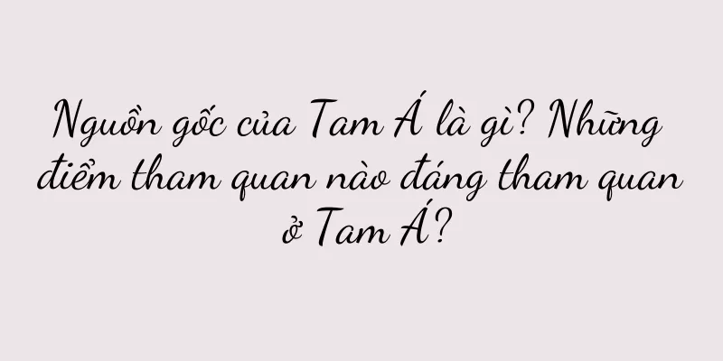 Nguồn gốc của Tam Á là gì? Những điểm tham quan nào đáng tham quan ở Tam Á?