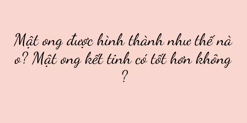 Mật ong được hình thành như thế nào? Mật ong kết tinh có tốt hơn không?