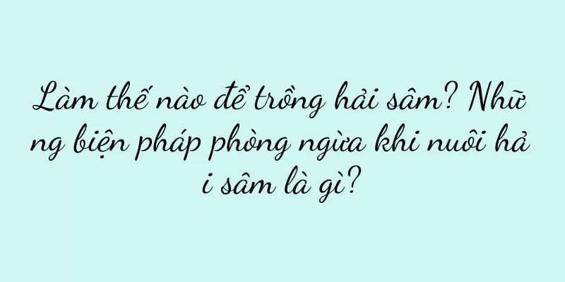 Làm thế nào để trồng hải sâm? Những biện pháp phòng ngừa khi nuôi hải sâm là gì?