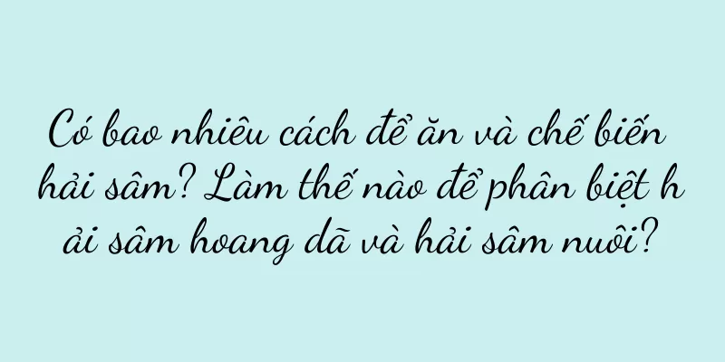 Có bao nhiêu cách để ăn và chế biến hải sâm? Làm thế nào để phân biệt hải sâm hoang dã và hải sâm nuôi?