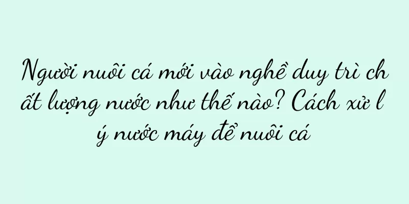 Người nuôi cá mới vào nghề duy trì chất lượng nước như thế nào? Cách xử lý nước máy để nuôi cá