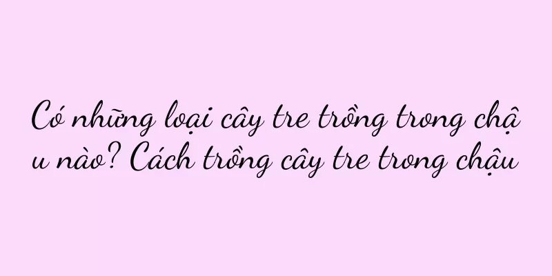 Có những loại cây tre trồng trong chậu nào? Cách trồng cây tre trong chậu
