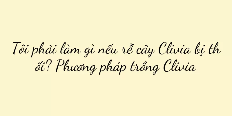 Tôi phải làm gì nếu rễ cây Clivia bị thối? Phương pháp trồng Clivia