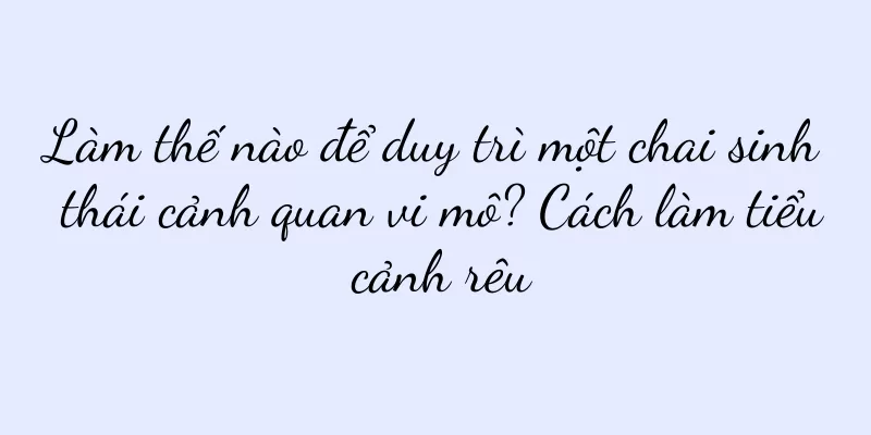 Làm thế nào để duy trì một chai sinh thái cảnh quan vi mô? Cách làm tiểu cảnh rêu