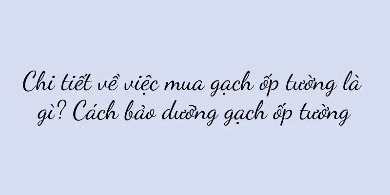 Chi tiết về việc mua gạch ốp tường là gì? Cách bảo dưỡng gạch ốp tường