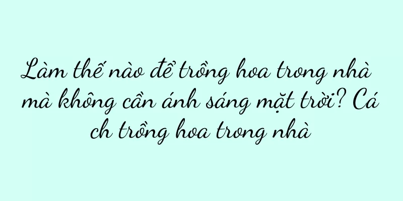 Làm thế nào để trồng hoa trong nhà mà không cần ánh sáng mặt trời? Cách trồng hoa trong nhà