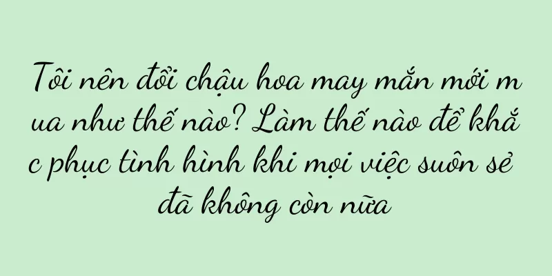 Tôi nên đổi chậu hoa may mắn mới mua như thế nào? Làm thế nào để khắc phục tình hình khi mọi việc suôn sẻ đã không còn nữa