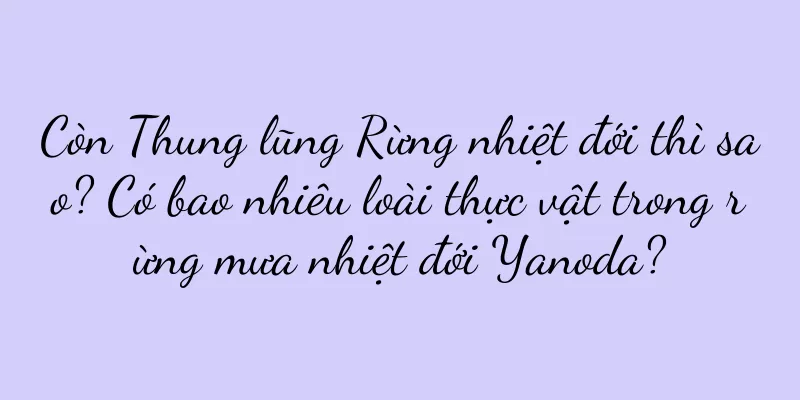 Còn Thung lũng Rừng nhiệt đới thì sao? Có bao nhiêu loài thực vật trong rừng mưa nhiệt đới Yanoda?
