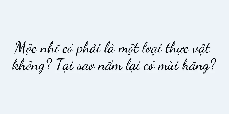 Mộc nhĩ có phải là một loại thực vật không? Tại sao nấm lại có mùi hăng?
