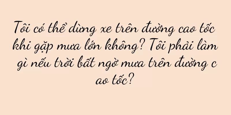 Tôi có thể dừng xe trên đường cao tốc khi gặp mưa lớn không? Tôi phải làm gì nếu trời bất ngờ mưa trên đường cao tốc?