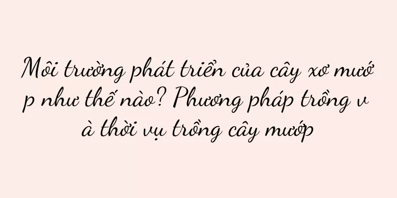 Môi trường phát triển của cây xơ mướp như thế nào? Phương pháp trồng và thời vụ trồng cây mướp