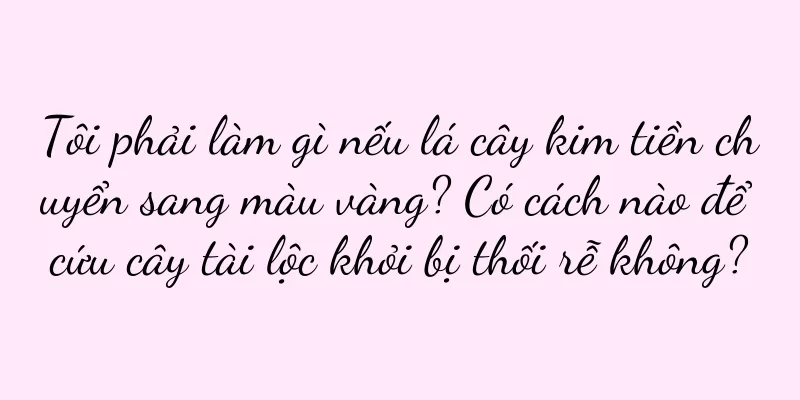 Tôi phải làm gì nếu lá cây kim tiền chuyển sang màu vàng? Có cách nào để cứu cây tài lộc khỏi bị thối rễ không?