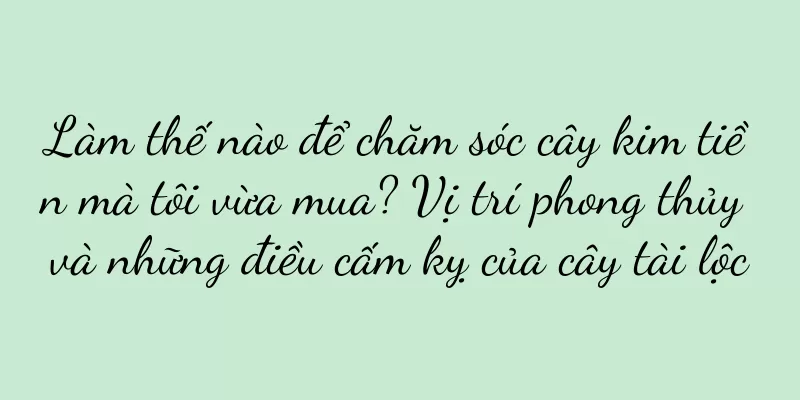 Làm thế nào để chăm sóc cây kim tiền mà tôi vừa mua? Vị trí phong thủy và những điều cấm kỵ của cây tài lộc
