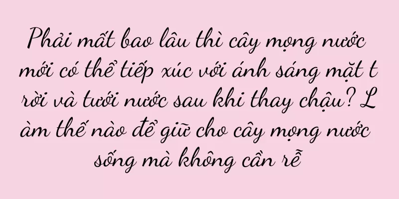 Phải mất bao lâu thì cây mọng nước mới có thể tiếp xúc với ánh sáng mặt trời và tưới nước sau khi thay chậu? Làm thế nào để giữ cho cây mọng nước sống mà không cần rễ
