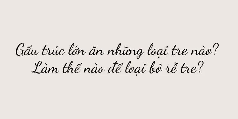 Gấu trúc lớn ăn những loại tre nào? Làm thế nào để loại bỏ rễ tre?
