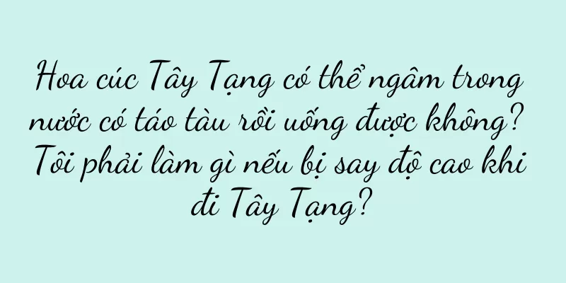 Hoa cúc Tây Tạng có thể ngâm trong nước có táo tàu rồi uống được không? Tôi phải làm gì nếu bị say độ cao khi đi Tây Tạng?