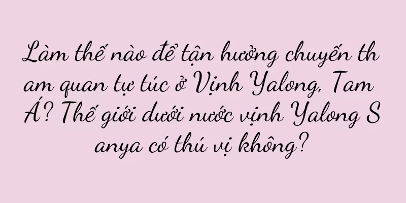 Làm thế nào để tận hưởng chuyến tham quan tự túc ở Vịnh Yalong, Tam Á? Thế giới dưới nước vịnh Yalong Sanya có thú vị không?