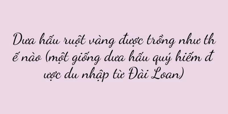 Dưa hấu ruột vàng được trồng như thế nào (một giống dưa hấu quý hiếm được du nhập từ Đài Loan)