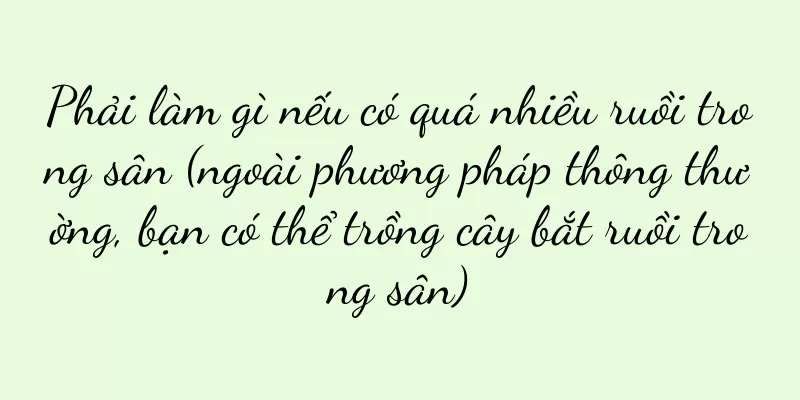 Phải làm gì nếu có quá nhiều ruồi trong sân (ngoài phương pháp thông thường, bạn có thể trồng cây bắt ruồi trong sân)
