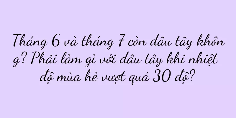 Tháng 6 và tháng 7 còn dâu tây không? Phải làm gì với dâu tây khi nhiệt độ mùa hè vượt quá 30 độ?