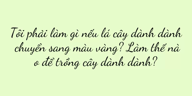 Tôi phải làm gì nếu lá cây dành dành chuyển sang màu vàng? Làm thế nào để trồng cây dành dành?