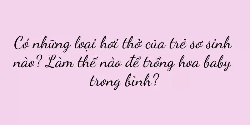 Có những loại hơi thở của trẻ sơ sinh nào? Làm thế nào để trồng hoa baby trong bình?