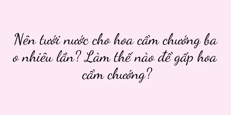 Nên tưới nước cho hoa cẩm chướng bao nhiêu lần? Làm thế nào để gấp hoa cẩm chướng?