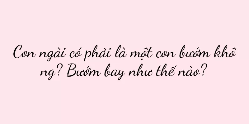 Con ngài có phải là một con bướm không? Bướm bay như thế nào?