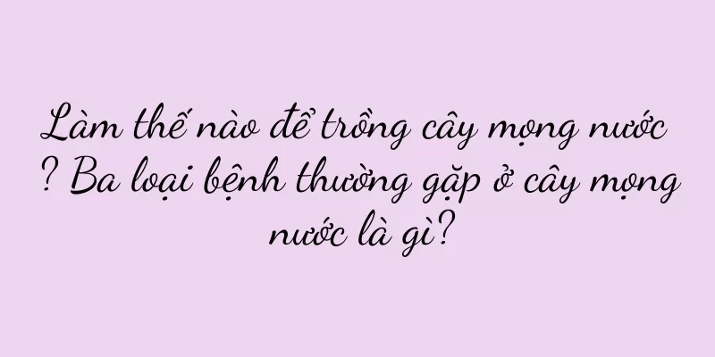 Làm thế nào để trồng cây mọng nước? Ba loại bệnh thường gặp ở cây mọng nước là gì?