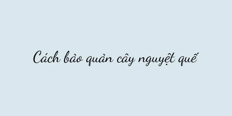 Cách bảo quản cây nguyệt quế