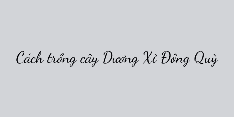 Cách trồng cây Dương Xỉ Đông Quỳ