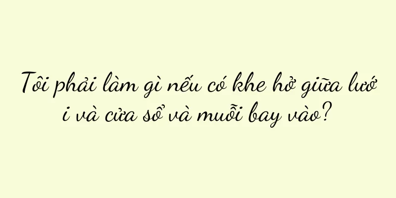 Tôi phải làm gì nếu có khe hở giữa lưới và cửa sổ và muỗi bay vào?