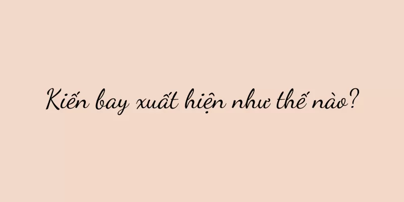 Kiến bay xuất hiện như thế nào?