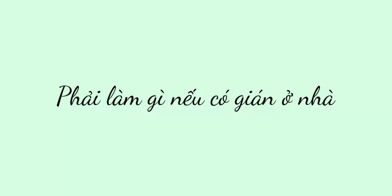 Phải làm gì nếu có gián ở nhà