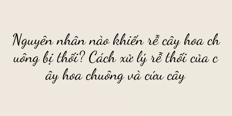 Nguyên nhân nào khiến rễ cây hoa chuông bị thối? Cách xử lý rễ thối của cây hoa chuông và cứu cây
