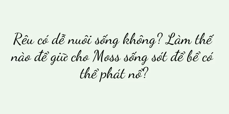 Rêu có dễ nuôi sống không? Làm thế nào để giữ cho Moss sống sót để bể có thể phát nổ?