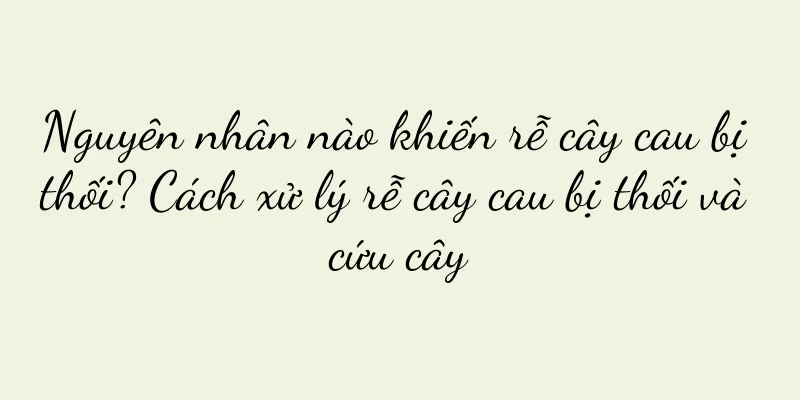 Nguyên nhân nào khiến rễ cây cau bị thối? Cách xử lý rễ cây cau bị thối và cứu cây