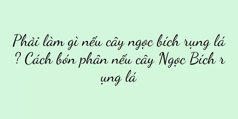 Phải làm gì nếu cây ngọc bích rụng lá? Cách bón phân nếu cây Ngọc Bích rụng lá