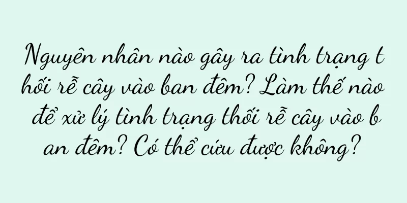 Nguyên nhân nào gây ra tình trạng thối rễ cây vào ban đêm? Làm thế nào để xử lý tình trạng thối rễ cây vào ban đêm? Có thể cứu được không?