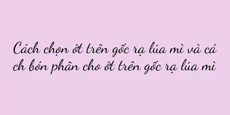 Cách chọn ớt trên gốc rạ lúa mì và cách bón phân cho ớt trên gốc rạ lúa mì