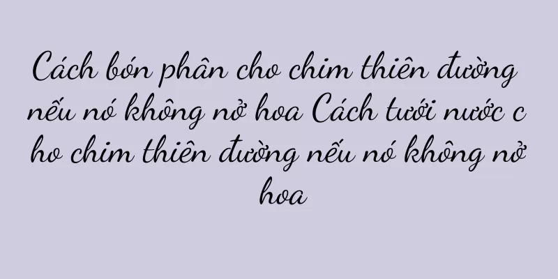 Cách bón phân cho chim thiên đường nếu nó không nở hoa Cách tưới nước cho chim thiên đường nếu nó không nở hoa